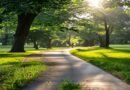 Why Walking Is America's Most Underrated Exercise